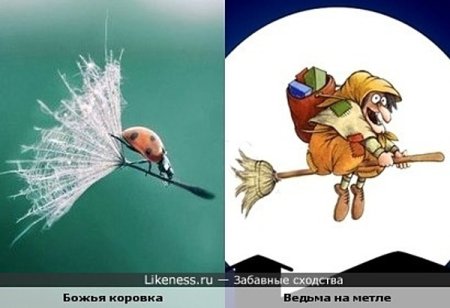 Я на метле юмор