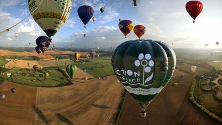 Воздушные шары