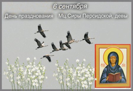 Евтихий тихий 6 сентября