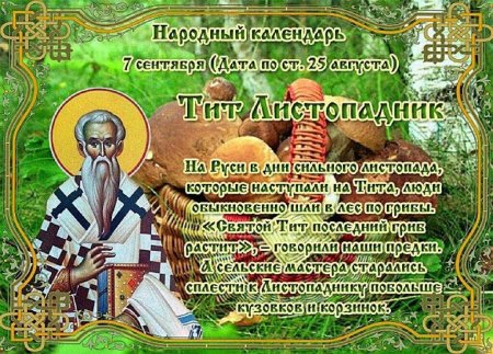 Народный календарь 7 сентября Тит Листопадник