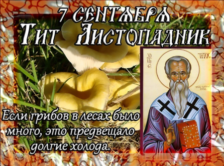 Тит Листопадник