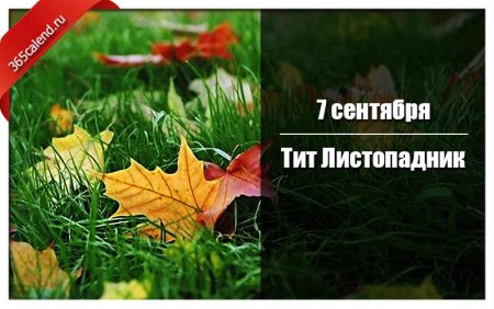 Тит Листопадник 7 сентября