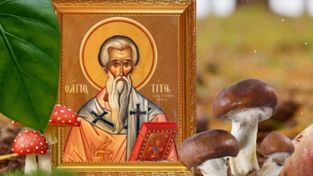 Тит Листопадник (Тит грибник)