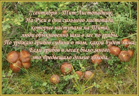 Народный календарь 7 сентября Тит Листопадник