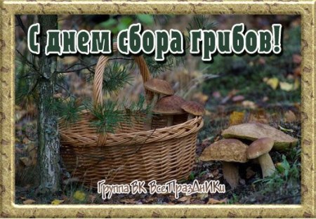 День сбора грибов