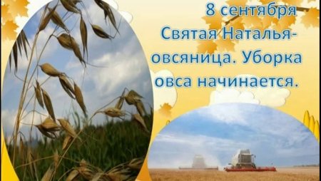 Наталья овсяница 8 сентября