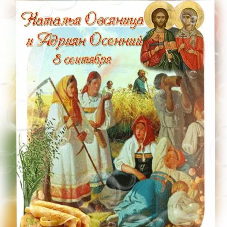 8 Сентября Наталья овсяница и Адриян осенний