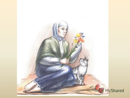 Пелагея Ивановна Дивеевская