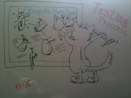 Кот тестировщик