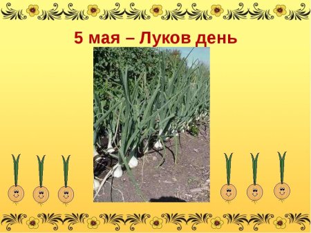 5 Мая луков день