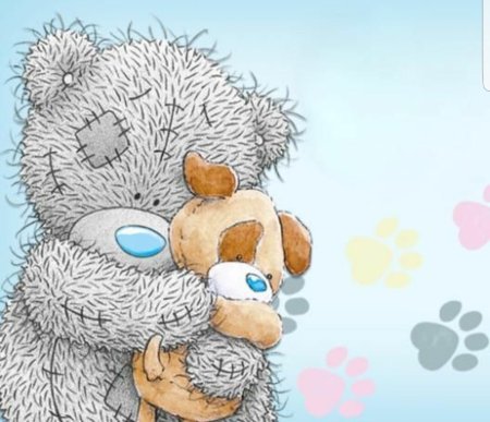 Мишка Тедди в высоком качестве