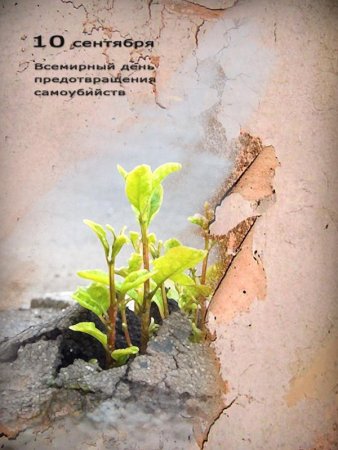 Всемирный день предотвращения самоубийств