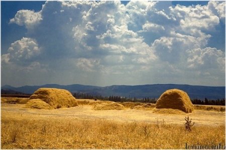 Анна и Савва Скирдники 10