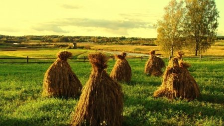 Анна и Савва Скирдники 10 сентября