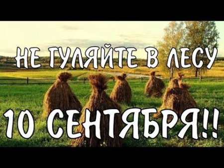 Анна и Савва Скирдники 10 сентября картинки
