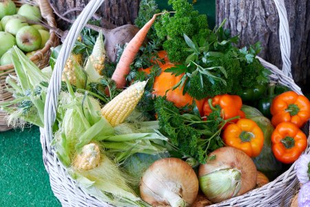 Выставка садоводов огородников на день села