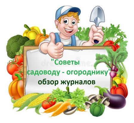 Рамка сад огород