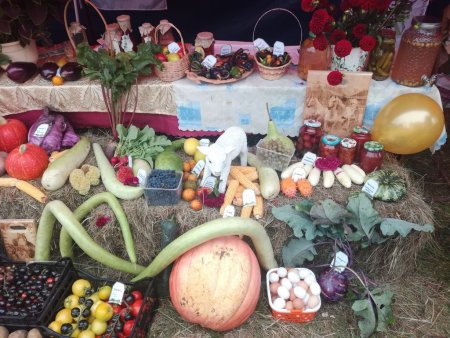 День садовода и огородника