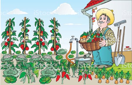 Овощевод для детей