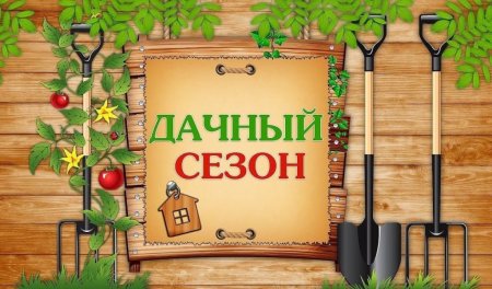 Дачный сезон открыт