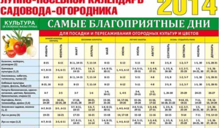 Календарь огородника