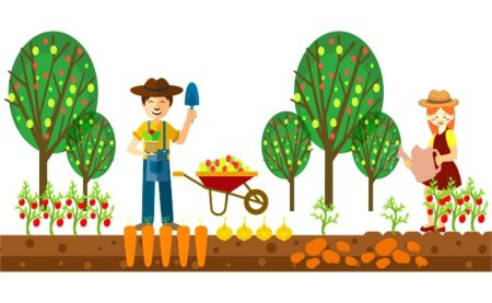 Огород вектор