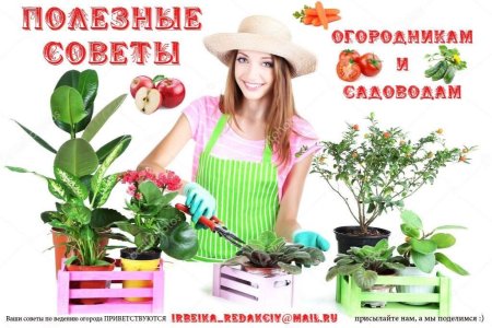 Советы садоводам