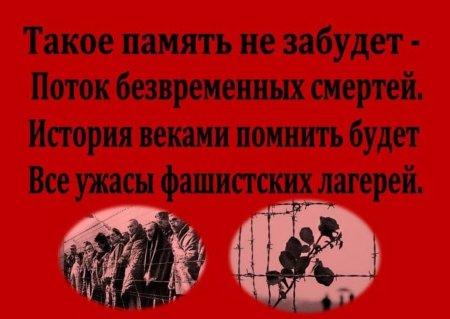 Международный день освобождения узников фашистских концлагерей