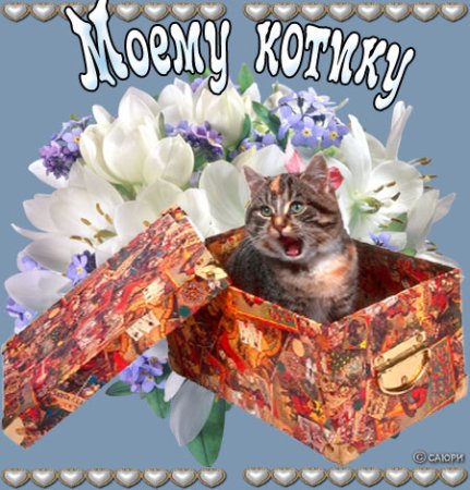 Праздник ласкового обращения