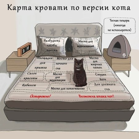 Кровать прикол