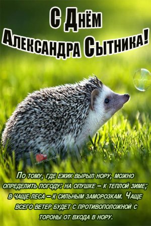 Открытки день Александр Сытник