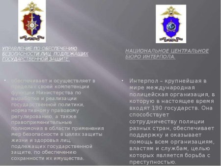 Подразделения по государственной защите