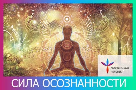 Плакаты про осознанность