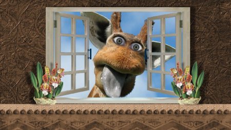 Животные заглядывают в окно