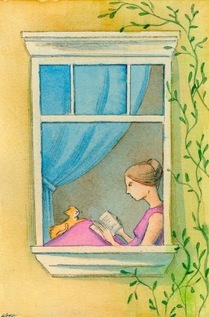 Окно рисунок