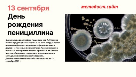 День пенициллина 13 сентября