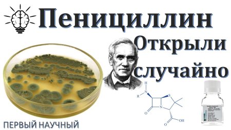 День рождения пенициллина