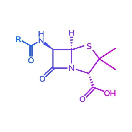Пенициллин вектор