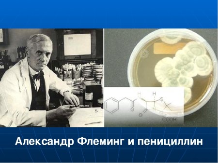 Александр Флеминг лизоцим
