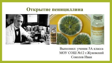 Научные открытия 20 века антибиотик пенициллин