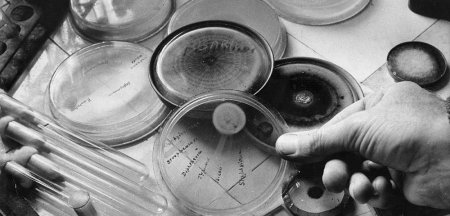 Пенициллиновый бульон