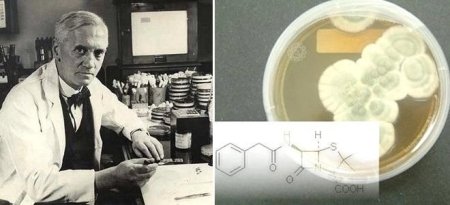 Александр Флеминг фото в молодости