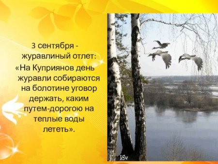 Куприянов день