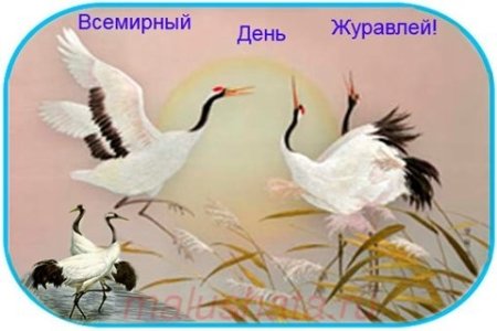 Всемирный день журавля 13 сентября