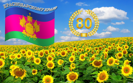 85 Лет Краснодарскому краю логотип