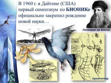 Бионика презентация