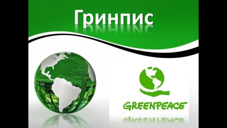 День рождения экологической организации Гринпис 15 сентября