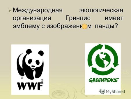 Всемирная организация Гринпис логотип