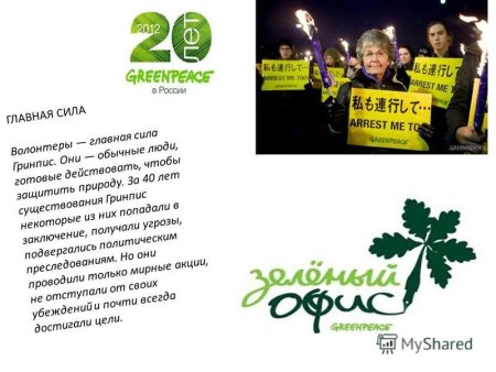 Гринпис день рождения организации