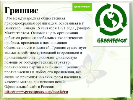 Гринпис Международная организация